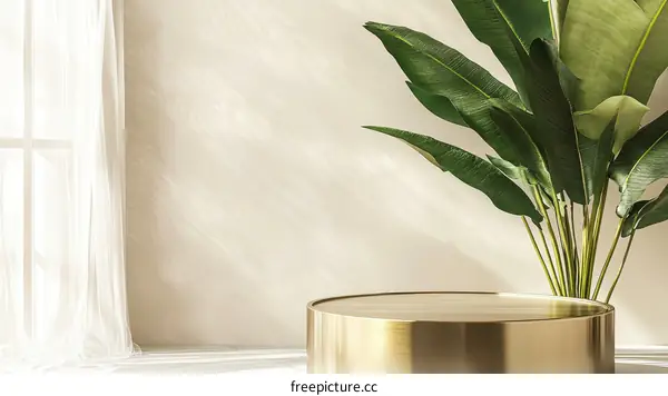 Modern Minimalist Interior Scene with Podium and Plant