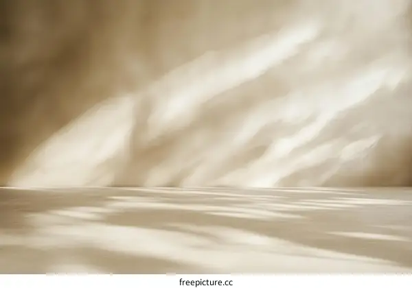 Beige Abstract Empty Studio Background with Sunlit Shadows