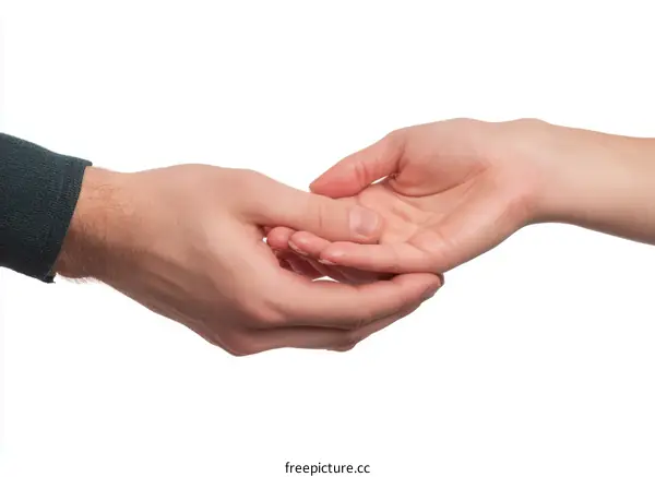 Two Hands Holding Together