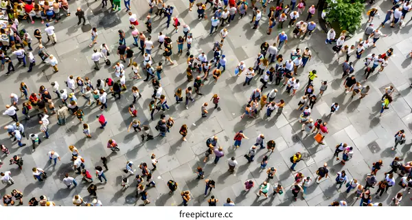 Crowd of People Walking on a Street from Above