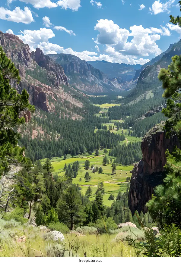 Mountain Valley Landscape with Green Trees and Grass