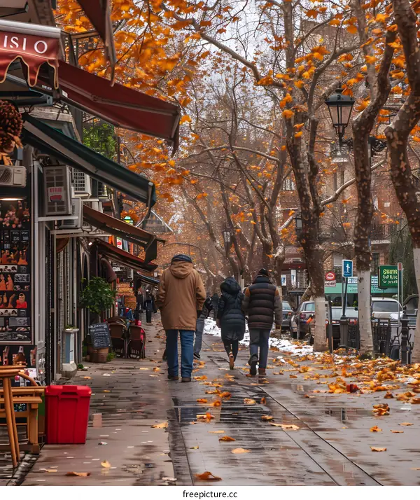 Autumn Leaves Fall on a Wet City Street