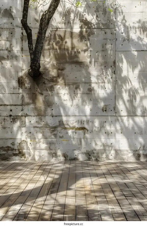 Wooden Floor with Concrete Wall and Tree Shadows