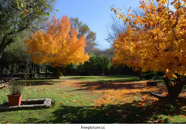 Autumn Leaves in the Park