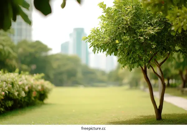 Peaceful Park Scene with Lush Greenery