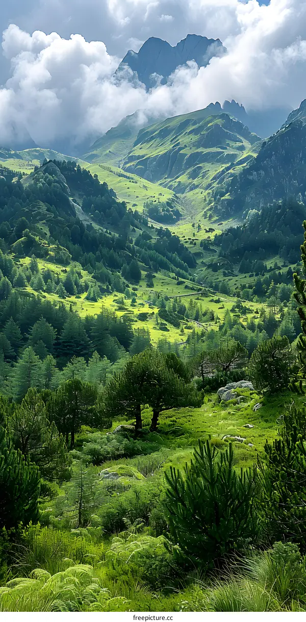 mountain range under the cloudy sky