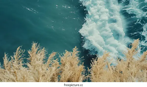 Water Splash With Dried Grass