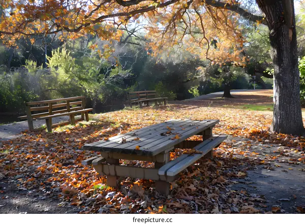 Wooden Picnic Table In Autumn Leaves