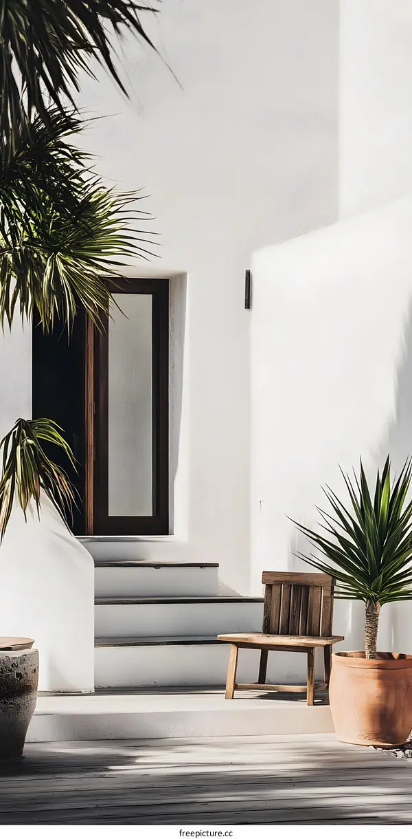 Minimalist Exterior Design with Wooden Bench and Palm Tree