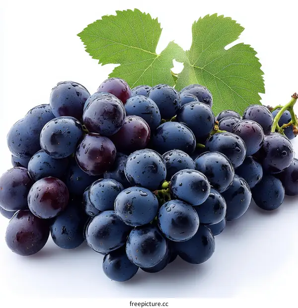 Fresh Dark Purple Grapes with Leaves