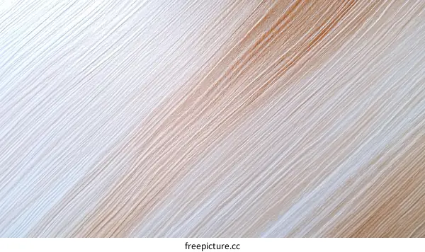 Wood Grain Texture Closeup Background