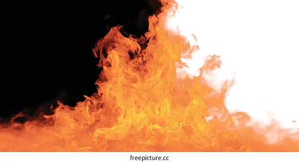Fiery Flames Against Black and White Backgrounds