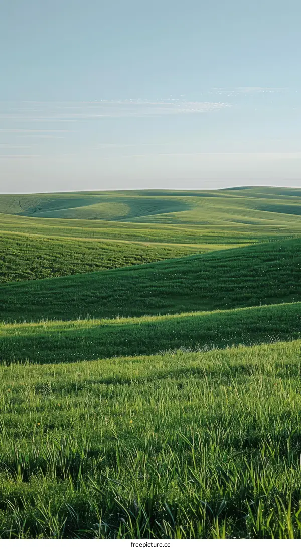 Picturesque Green Rolling Hills under Clear Blue Sky