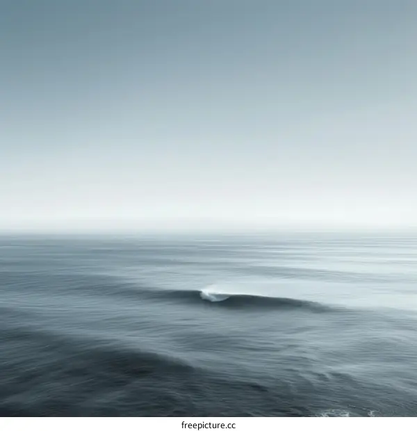 Aerial View of an Ocean Wave