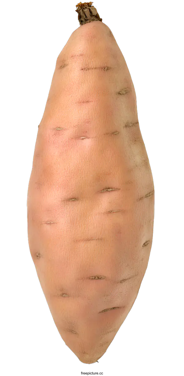 [Transparent Background PNG]Single Sweet Potato on a White Background