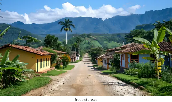 Scenic Rural Village Street With Houses And Palm Trees