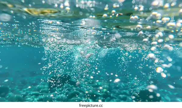 Underwater bubbles in ocean water