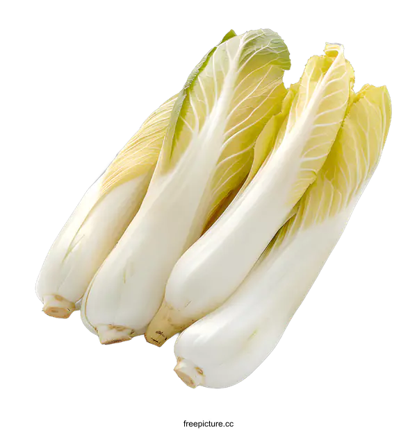 [Transparent Background PNG]Fresh baby bok choy isolated on white background