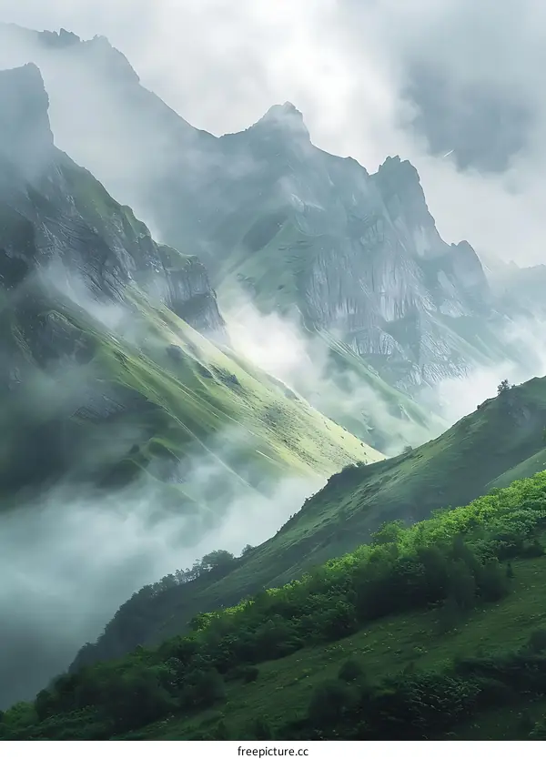 Green Mountain Landscape With Fog