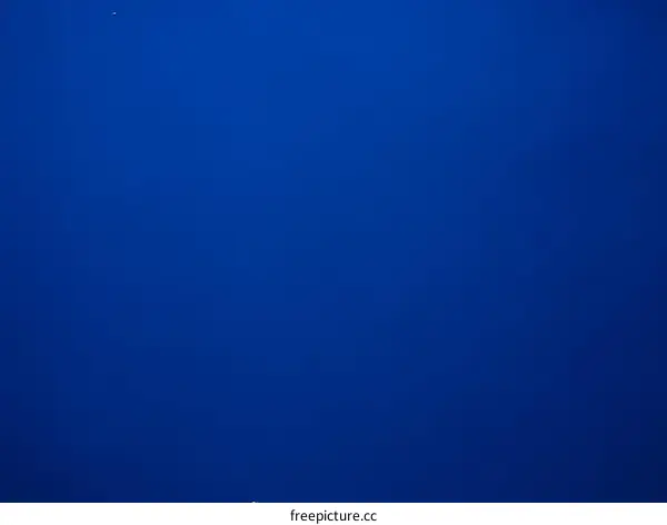 Solid Deep Blue Background Texture