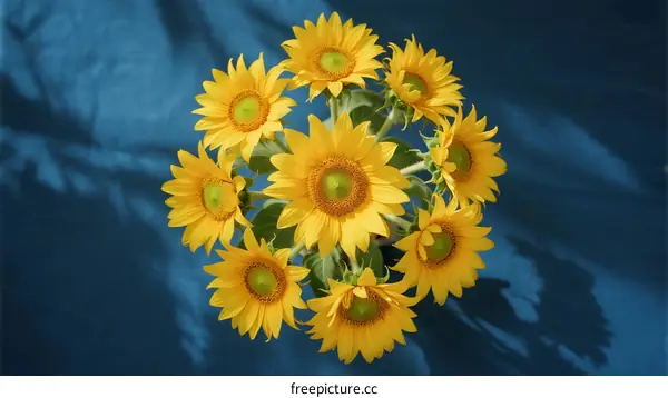 Bouquet of Vibrant Sunflowers with Yellow Petals and Green Centers