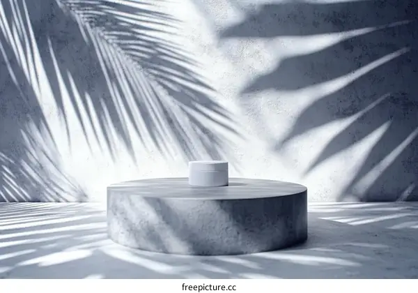 Modern Minimalist Product Display with Tropical Shadow