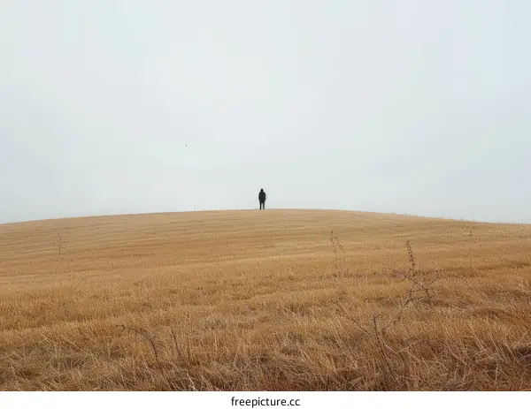 Lonely Man Standing in a Field of Wheat