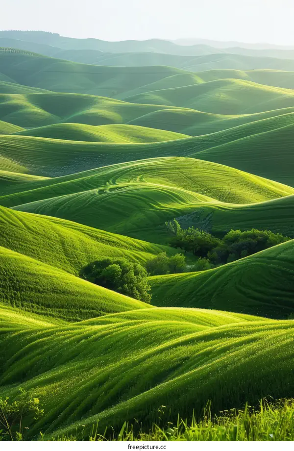 Picturesque green hills under the sunlight