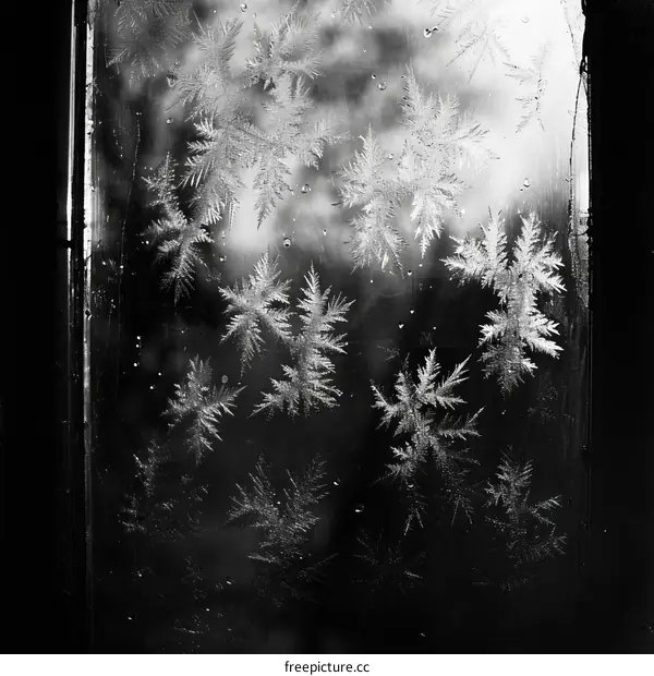 Black and white photo of frost on a window