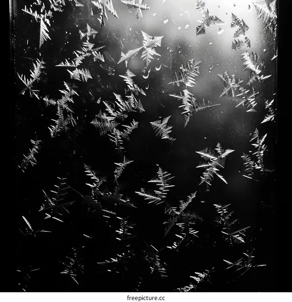 Black and white photo of frost on a window