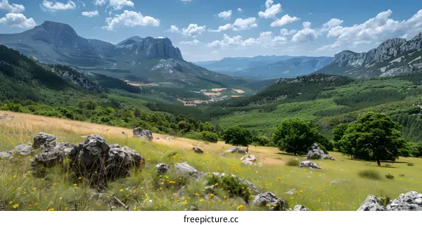 Beautiful Mountain Landscape with Green Forests and Blue Sky