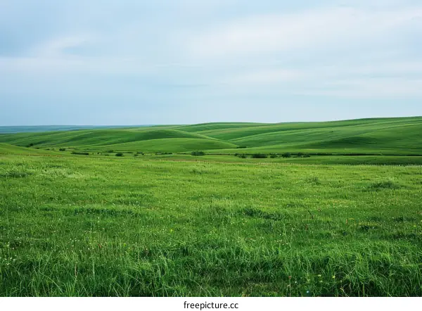 Tranquil Green Hills beneath a Blue Sky