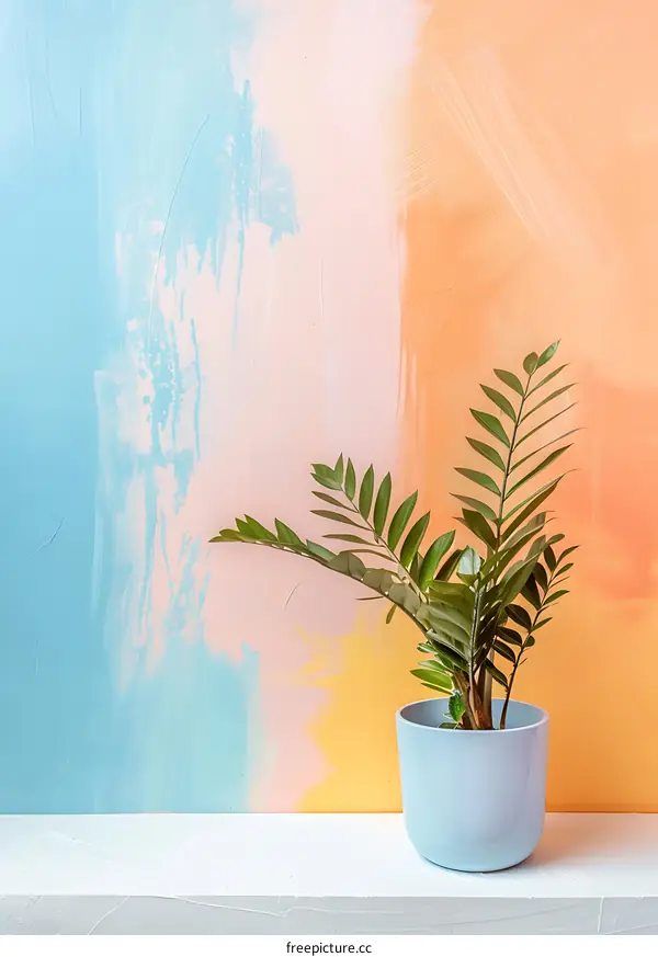 Pastel Colored Wall with Green Plant in Pot
