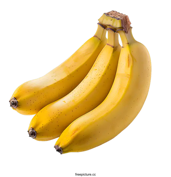 [Transparent Background PNG]Three ripe yellow bananas isolated on white background