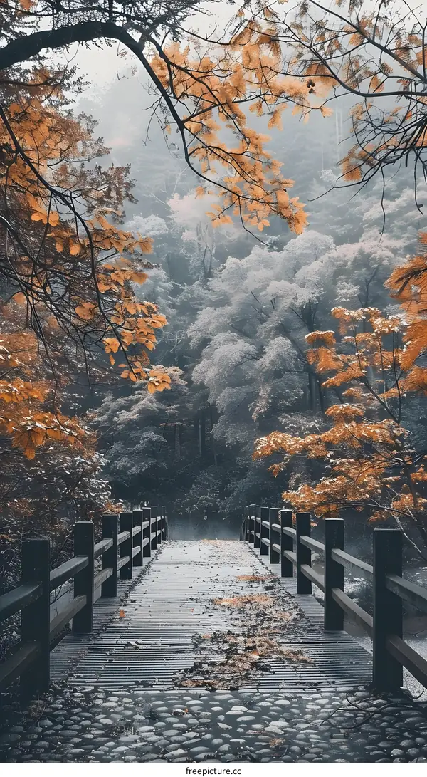 Wooden Bridge in Misty Autumn Forest