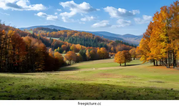 Colorful autumn landscape with green, yellow and orange trees and blue sky with clouds