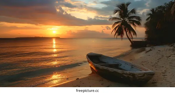 Beach sunset with palm tree and boat