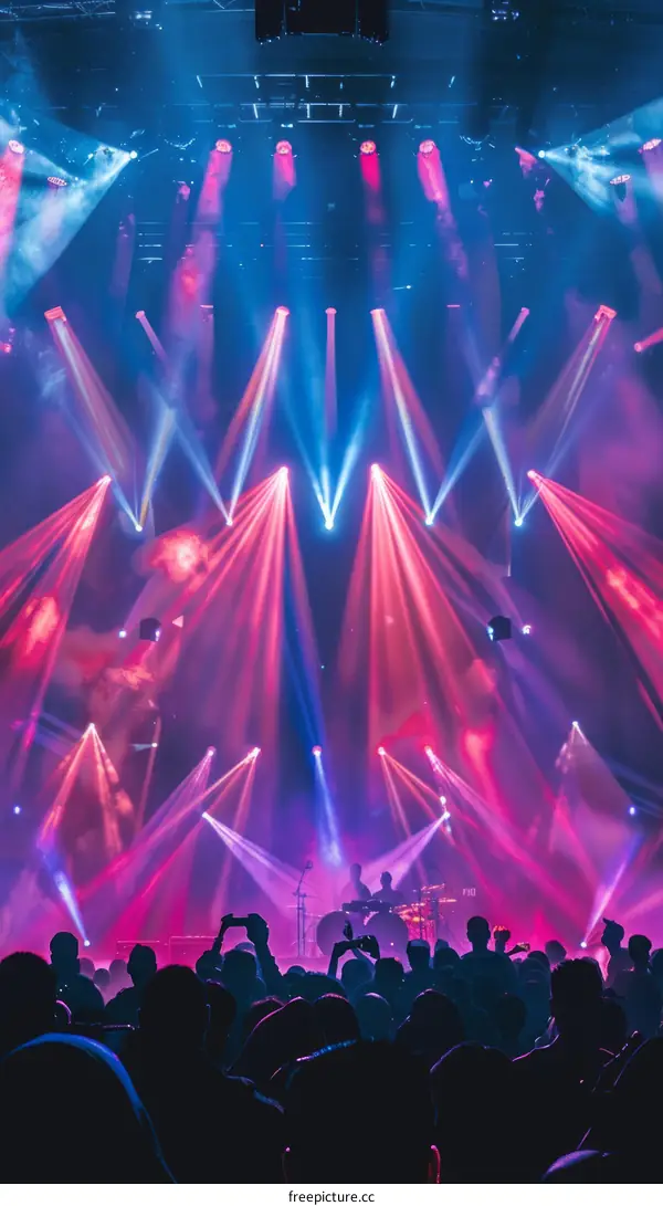 The stage is full of colorful lights and the crowd is cheering