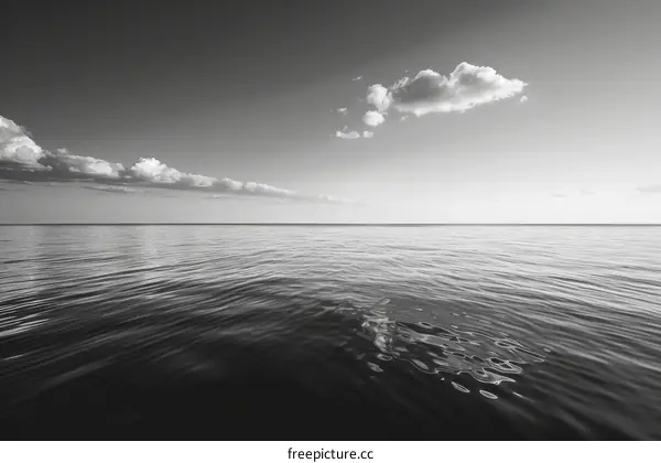 Black and White Photo of a Serene Lake and Subtle Clouds