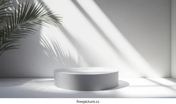 Stylish Minimalist Product Display with Sunlight and Shadow