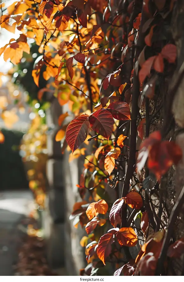 Autumn Leaves on a Brick Wall