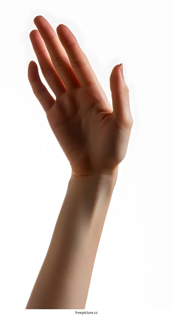 An illustration of a hand reaching out