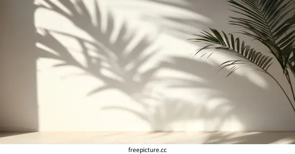 Shadow Play of Palm Leaves on a Light Beige Wall