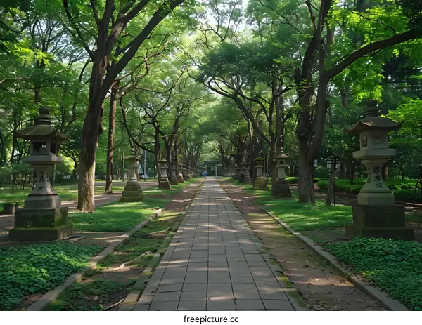 Stone lanterns and trees in a Japanese shrine