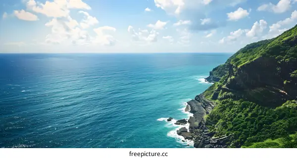 Aerial View of Cliffside and Ocean
