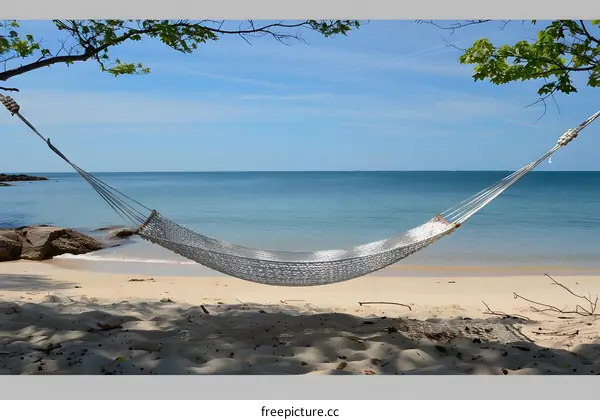 Empty Hammock on a Sandy Beach Under a Tree