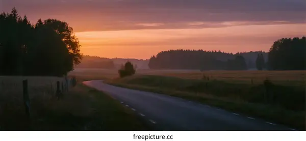 Peaceful dawn scenery with a winding road through fields and trees