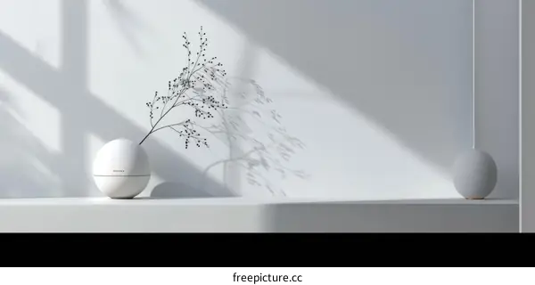 A Ceramic Vase Displayed with a Single Flower and Set Against a White Wall