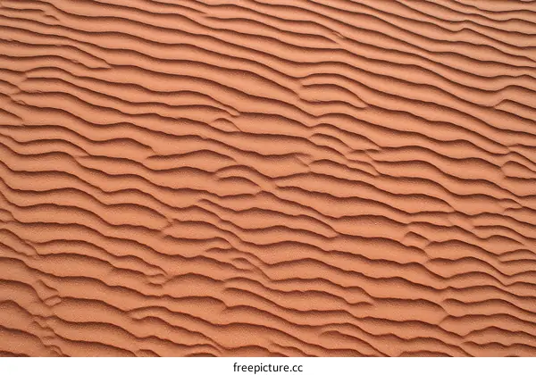 Desert Sand Texture Patterns