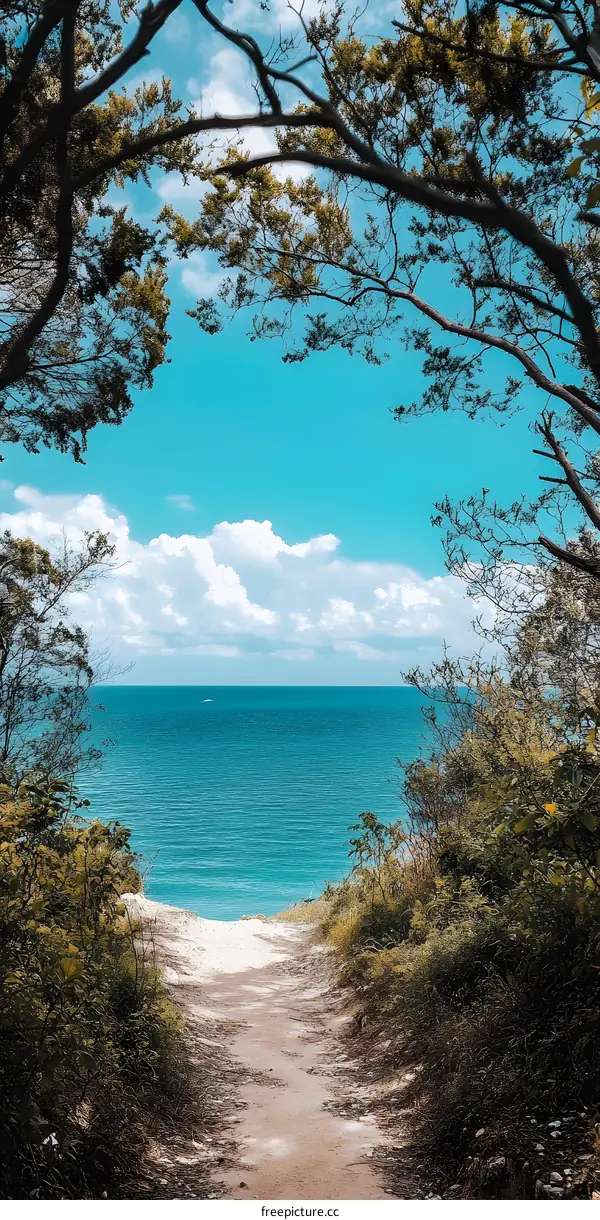 Coastal Path Through Lush Foliage